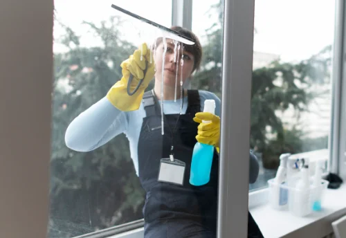 Nettoyage de vitres intérieures et extérieures à Pont-l'Abbé-d'Arnoult